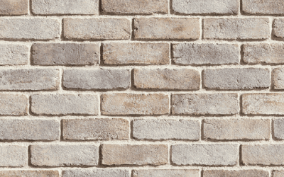 Which Brick is Right for Your Project?